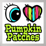 Bright Eye Heart I Love Pumpkin Patches Poster