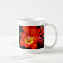 Bright Orange Coffee Mug