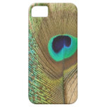 Bright peacock eye bird feather girly chic photo iPhone 5 cover
