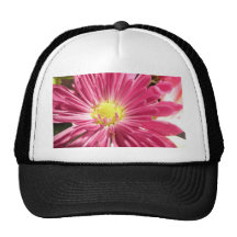 Bright Pink Daisy Flower Trucker Hats