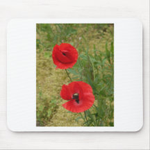 Bright poppies mousepads