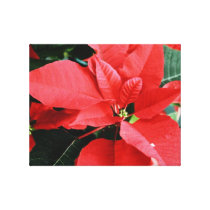 Bright Red Christmas Poinsettia canvas prints