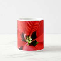 Bright Red Christmas Poinsettia mugs