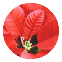 Bright Red Christmas Poinsettia stickers
