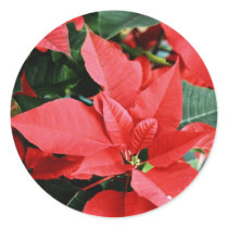 Bright Red Christmas Poinsettia stickers