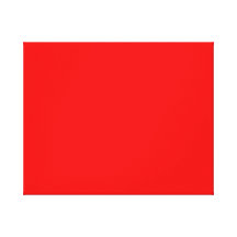 bright red DIY custom background template Canvas Print