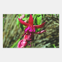 Bright Red Fuschia flower Rectangle Sticker