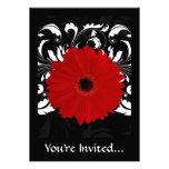 Bright Red Gerbera Daisy on Black invitations