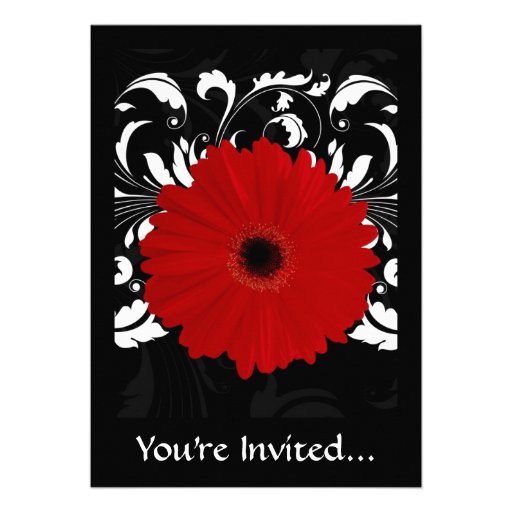 Bright Red Gerbera Daisy on Black Custom Announcement
