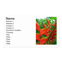 Brillant Heliconia Business Card Templates