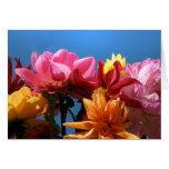 Brilliant Dahlias Mother's Day Greeting Cards