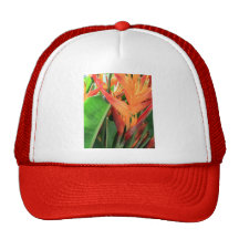 Brilliant Heliconia Tropical Flowers Mesh Hats