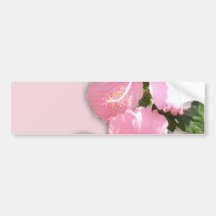 Brilliant Pink Hibiscus Flowers Bumper Sticker