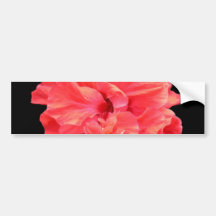 Brilliant Red Hibiscus Flower Bumper Stickers