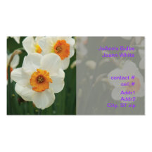 brilliant yellow centered daffodil business card