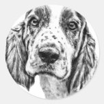 Brittany Spaniel Sticker