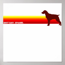 Brittany Spaniel With Stripes Print