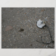 Broken net float on beach flyer