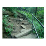 Broken Steps Fall Creek Falls Tennessee Postcard
