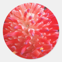 Bromeliad Flower Sticker