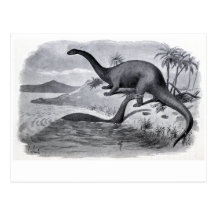 Brontosaurs At Play Postcard