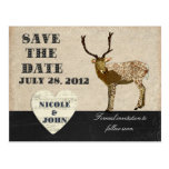 Bronze Buck Black & White Save the Date  Postcard