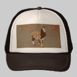 Bronze Llama Lid hats