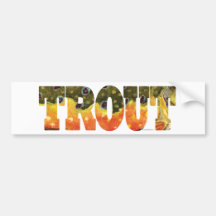 Brook Trout Art Bumper Stickers