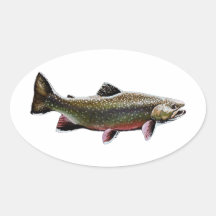 Brook Trout Logo (Swimming) Sticker