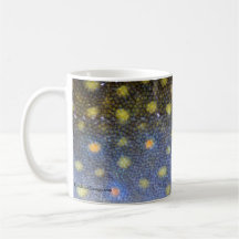 Brook Trout Scales Mugs
