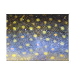 Brook Trout Scales Photography Gallery Wrap Canvas