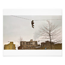Brooklyn- Sneakers on a Wire Photo Art