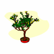 Broom style flowering bonsai graphic cut outs