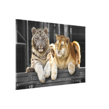 Brothers Canvas Prints