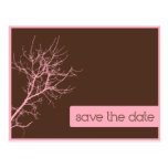 Brown and Pink Autumn Branches Save the Date Post Cards