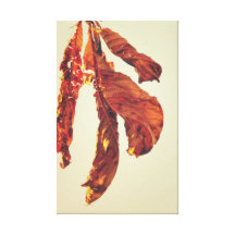 Brown autumn leaf stretched canvas print