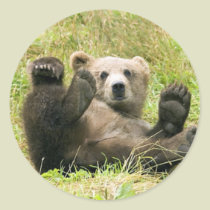 Brown Bear Kodiak Cub Gifts stickers