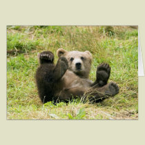 Brown_Bear_Kodiak_Cub cards