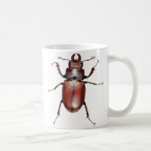 Brown Beetle Cup Coffee Mug