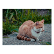 Brown cat personalised invite