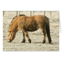 brown horse greeting cards