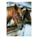 Brown Horse in Stall Custom Invitations