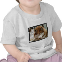 Brown Husky Baby T-Shirt