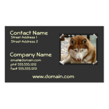Brown Husky  Business Card