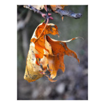 Brown leaf invites