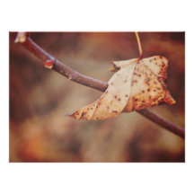 Brown leaf personalised announcements