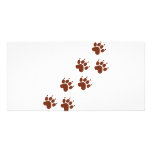 brown pad traces icon photo cards