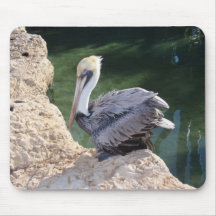 Brown Pelican Mousepad