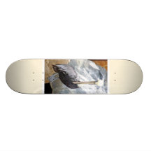 Brown Pelican Portrait Skateboard