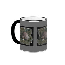 Brown Periwinkle, Unalaska Island Mug